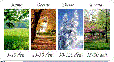 10.gif